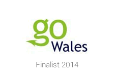 Go Wales