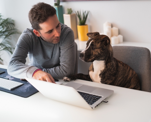 Happy home-working: Tips for working in the New Now
