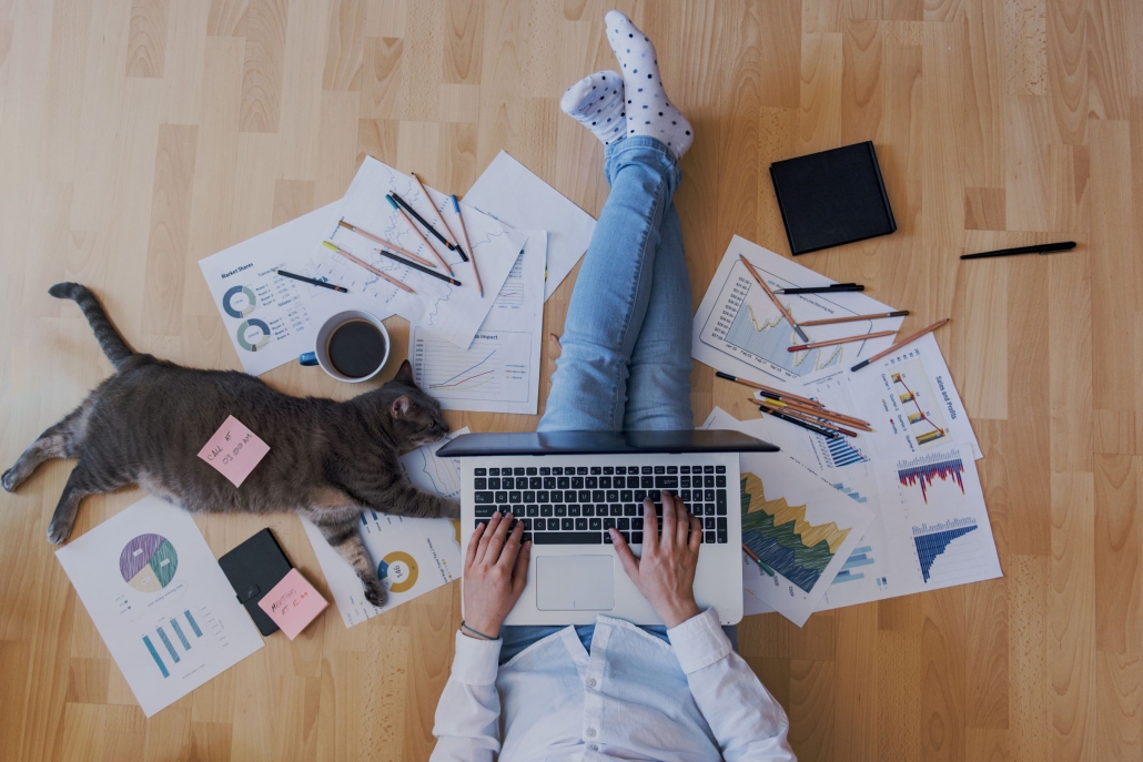Homeworking cat 4mp Happy home-working: Tips for working in the New Now